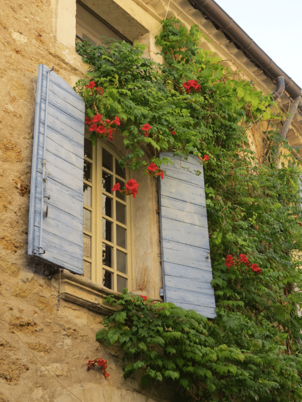 Découvrez comment rénover un mas provençal en respectant les traditions et en sublimant sa façade pour un résultat authentique et durable.